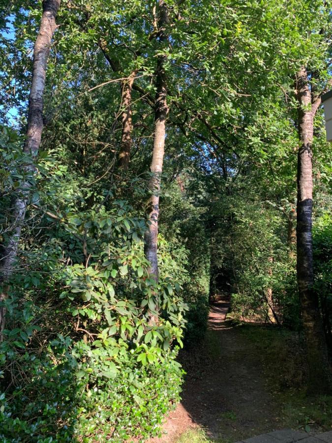 De Spitse Egel: Ontdek De Pareltjes In De Natuur! Otterlo Zewnętrze zdjęcie